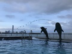 -苏州金鸡湖中茵皇冠假日酒店