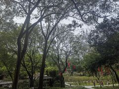 -广州市白云山风景名胜区