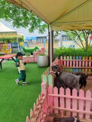 -萌宠亲子动物乐园(槐房万达店)