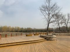 -东郊湿地公园