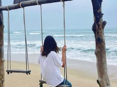 -广东惠东海龟国家级自然保护区