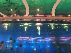 -瑞德姆美人鱼海底演艺主题餐厅(亚龙湾店)