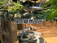 -凯德广场(学府店)