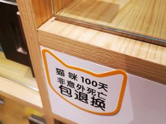 -屋虎猫馆(宝安大仟里店)