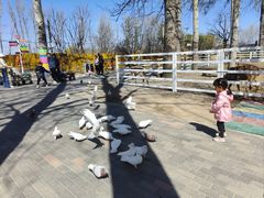 -1982农场