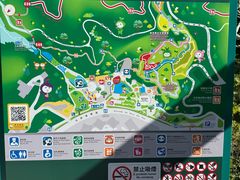 -石排湾郊野公园