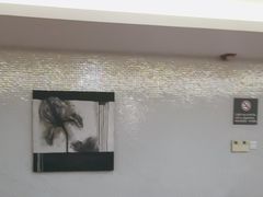 -杭州龙禧福朋喜来登酒店·游泳健身中心