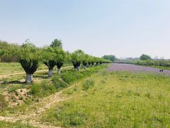 -汉长安城未央宫国家考古遗址公园