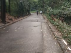 -珠海圆明新园