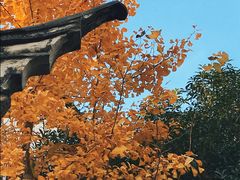 -南京民俗博物馆(甘熙故居)