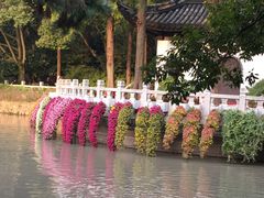 -汇龙潭