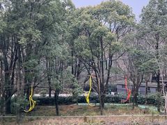 -WeLope紫金山探险公园