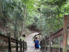 -凤栖山