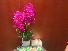 -木兰逸•泰式按摩•头疗•SPA(车公庙店)