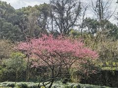 -宁波市保国寺古建筑博物馆