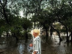 -宝安西湾红树林湿地公园