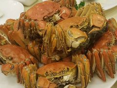 -王宝和酒家(黄浦店)