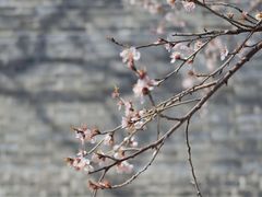 -三里河公园