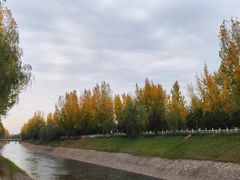 -汉长安城未央宫国家考古遗址公园