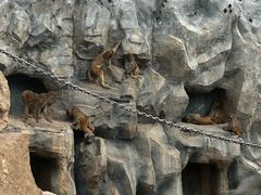 -青藏高原野生动物园