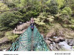 -大奇山国家森林公园