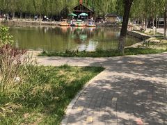 -杨柳青庄园