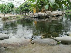 -南通洲际绿博园