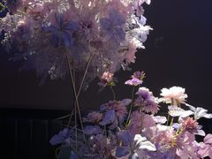 -黑桃K生日订制KTV