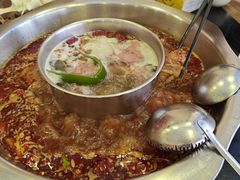 -金鼎雪山牦牛杂火锅(理县总店)