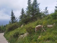 -苏木山森林公园