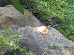 -天津盘山风景名胜区