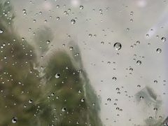 -老房子金沙元年川菜食府·草坪婚礼(毗河店)