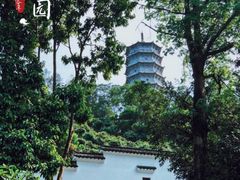 -深圳国际园林花卉博览园