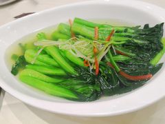 盐水菜心-雅盛品931海鲜酒家