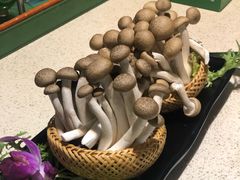 蟹味菇-润泽园椰子鸡(汇一城店)