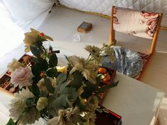 -安德鲁户外烧烤帐篷营地(马泉营店)