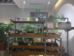-芳香乐府SPA·五行芳疗