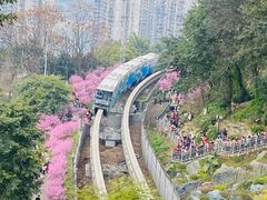 -关岳庙