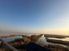 -盐城丹顶鹤湿地生态旅游区