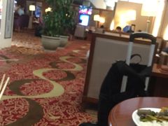 -虹桥机场国航贵宾室v8