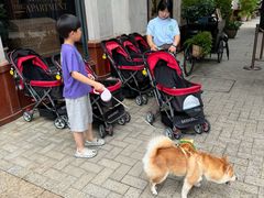 -BALENCIAGA(比斯特苏州购物村店)