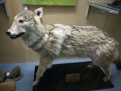 -陕西自然博物馆