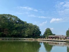 -广州市帽峰山景区