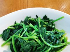 -菩提树·素食餐厅(汇智国际商业中心店)