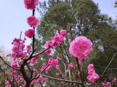 -海棠花溪(元大都城垣遗址公园)