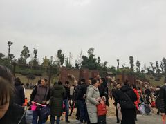 -枫香湖儿童公园