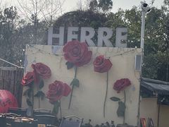 -HERRE·FARM 赫尔露营农场·团建聚会包场