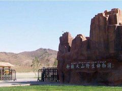 -新疆天山野生动物园