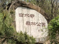 -白水寺森林公园