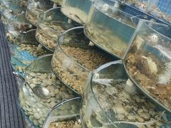 -仙螺岛海鲜自助餐厅(总店)